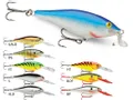 Shallow Shad Rap - RAPSSR05ALB