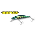 DUPLEX