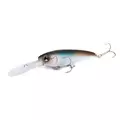 Bantam Pavlo Shad