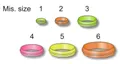 277 - ELASTIC RING COLORATO