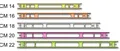 9514N 9516N 9518N 9520N 9522N - AVVOLGILENZA MINI
