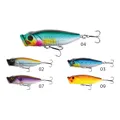 Popper FW