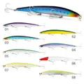 Long Minnow
