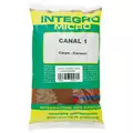 Canal 1: Carpe - Carassi