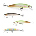 Rocky Minnow